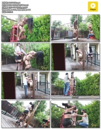 半岛束艺 佟司 好姐姐